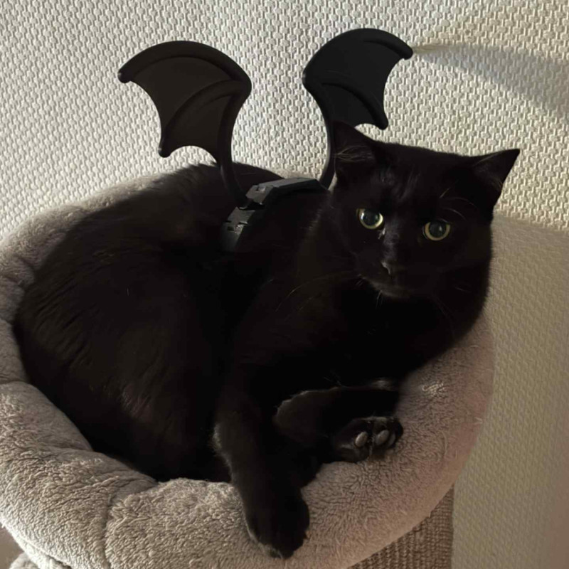 Kedi Yarası Kanatları - Evcil Hayvan Kostümü ve Aksesuarı