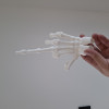 3D Baskı İnsan İskelet El Modeli - Eğitim ve Anatomi