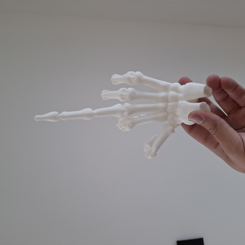 3D Baskı İnsan İskelet El Modeli - Eğitim ve Anatomi