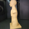 İnsan Gövde Anatomisi Modeli - Eğitici 3D Baskı