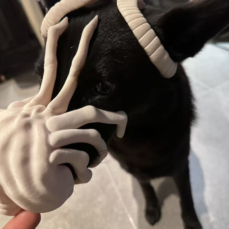 Uzaylı Köpek Maskesi Halloween Kostüm Evcil Hayvan Aksesuarı
