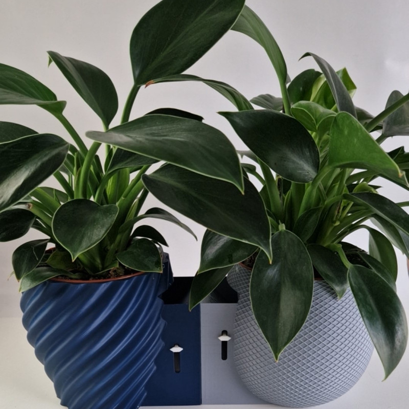 Aqua Level Otomatik Sulama Saksı - Su Seviye Göstergeli