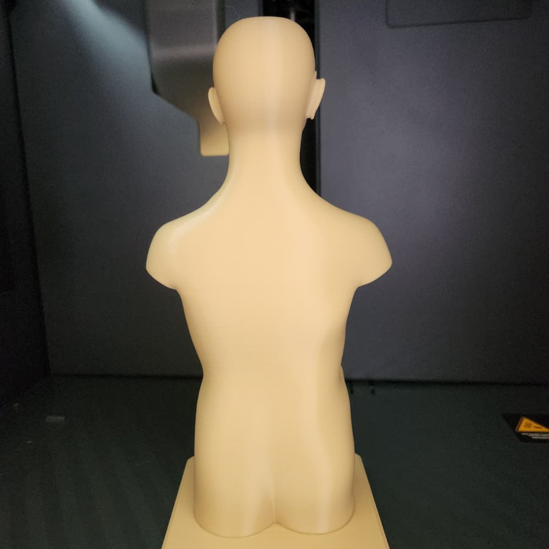 İnsan Gövde Anatomisi Modeli - Eğitici 3D Baskı