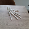 3D Baskı İnsan İskelet El Modeli - Eğitim ve Anatomi