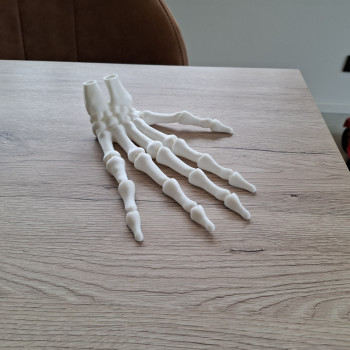 3D Baskı İnsan İskelet El Modeli - Eğitim ve Anatomi
