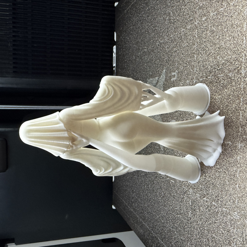 Gizemli Tapınak Bekçisi Hayalet Kadın 3D Baskı Figür Gizemli Tapınak Bekçisi Hayalet Kadın 3D Baskı Figür