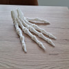 3D Baskı İnsan İskelet El Modeli - Eğitim ve Anatomi
