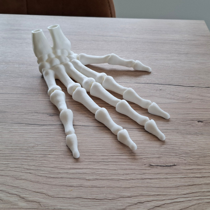 3D Baskı İnsan İskelet El Modeli - Eğitim ve Anatomi