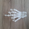 3D Baskı İnsan İskelet El Modeli - Eğitim ve Anatomi