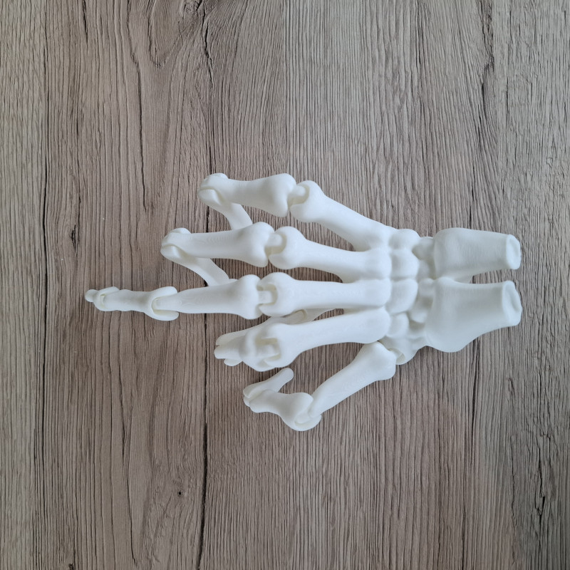 3D Baskı İnsan İskelet El Modeli - Eğitim ve Anatomi