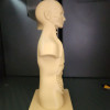 İnsan Gövde Anatomisi Modeli - Eğitici 3D Baskı