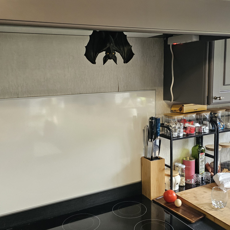 Detaylı Yarasa Heykelleri - Dekoratif 3D Baskı