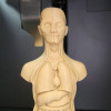 İnsan Gövde Anatomisi Modeli - Eğitici 3D Baskı