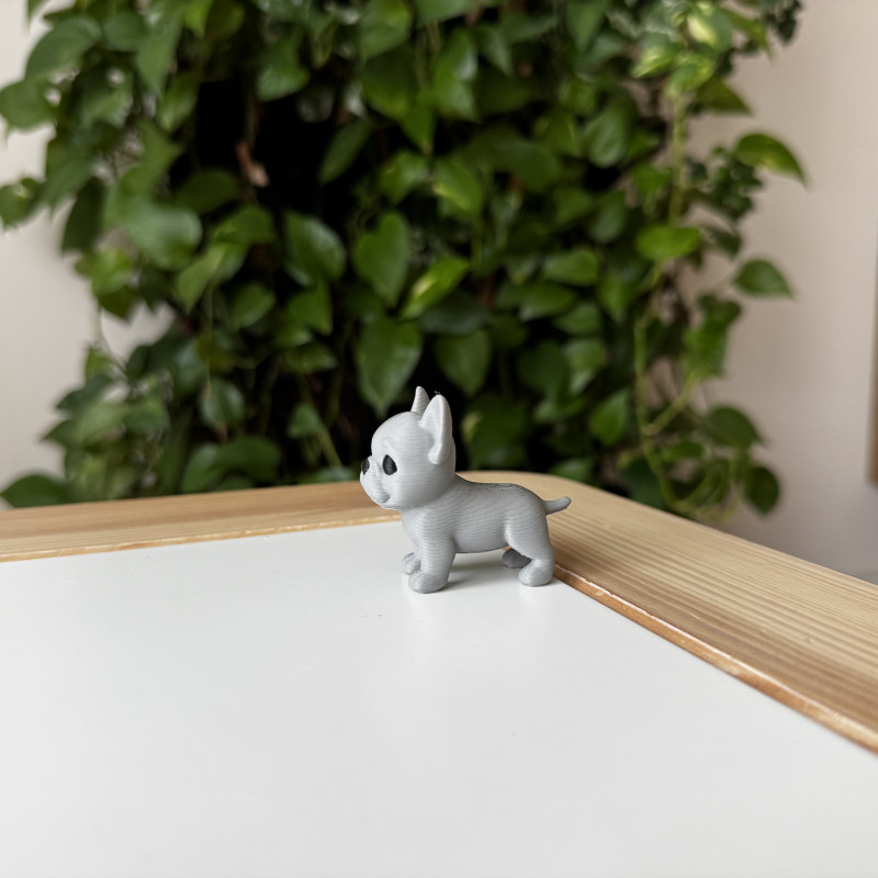 Fransız Bulldog Yavrusu 3D Baskılı Dekoratif Heykelcik Fransız Bulldog Yavrusu 3D Baskılı Dekoratif Heykelcik