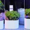 Akıllı Otomatik Sulama Saksı - 3D Baskı Ev Bitkisi Çözümü Akıllı Otomatik Sulama Saksı - 3D Baskı Ev Bitkisi Çözümü