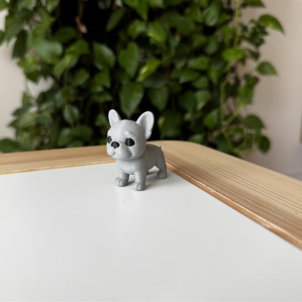 Fransız Bulldog Yavrusu 3D Baskılı Dekoratif Heykelcik Fransız Bulldog Yavrusu 3D Baskılı Dekoratif Heykelcik