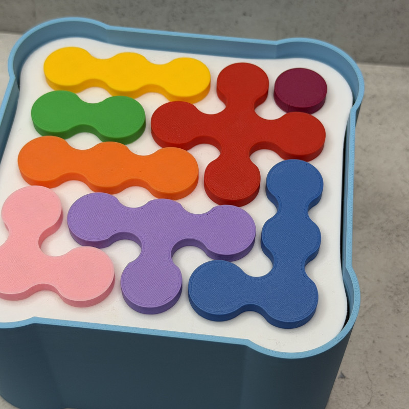 3D Baskılı Zeka Oyunu - 5 Farklı Zorluk Seviyeli Puzzle Seti