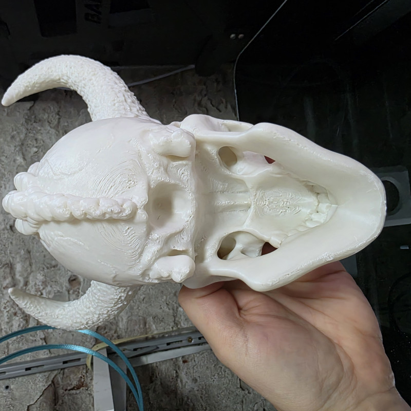 Fantezi Viking Kafatası Heykeli - 3D Baskı Dekor Fantezi Viking Kafatası Heykeli - 3D Baskı Dekor