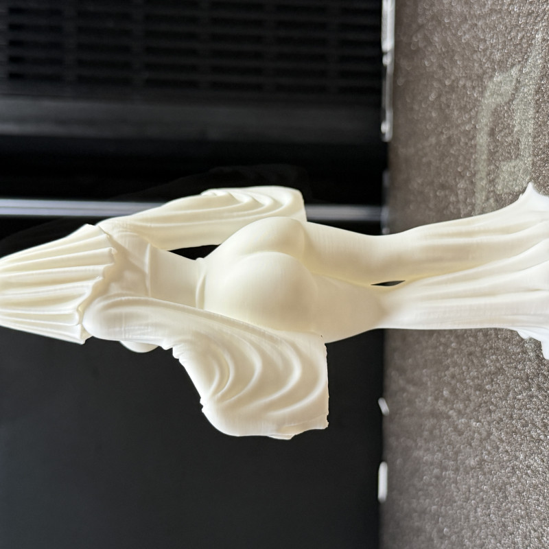 Gizemli Tapınak Bekçisi Hayalet Kadın 3D Baskı Figür Gizemli Tapınak Bekçisi Hayalet Kadın 3D Baskı Figür