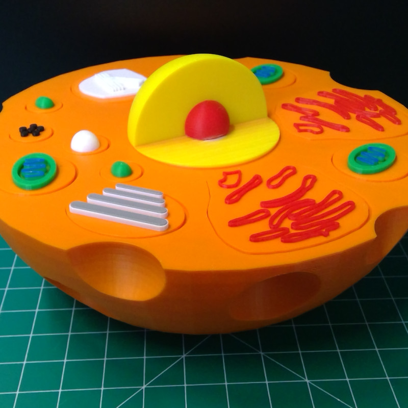 Hayvan Hücresi 3D Yapboz Modeli - Eğitici Biyoloji Maketi