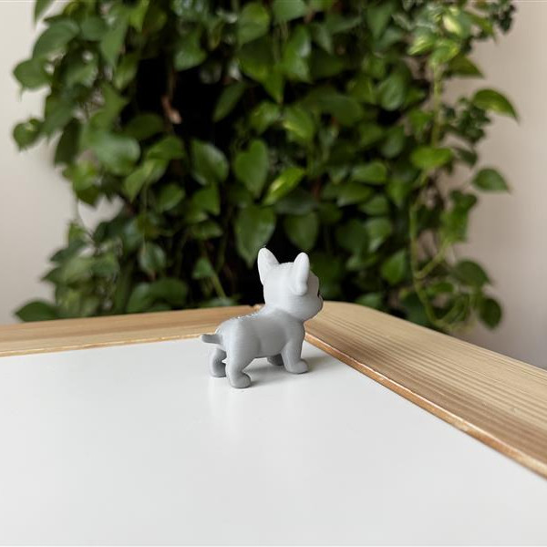 Fransız Bulldog Yavrusu 3D Baskılı Dekoratif Heykelcik Fransız Bulldog Yavrusu 3D Baskılı Dekoratif Heykelcik