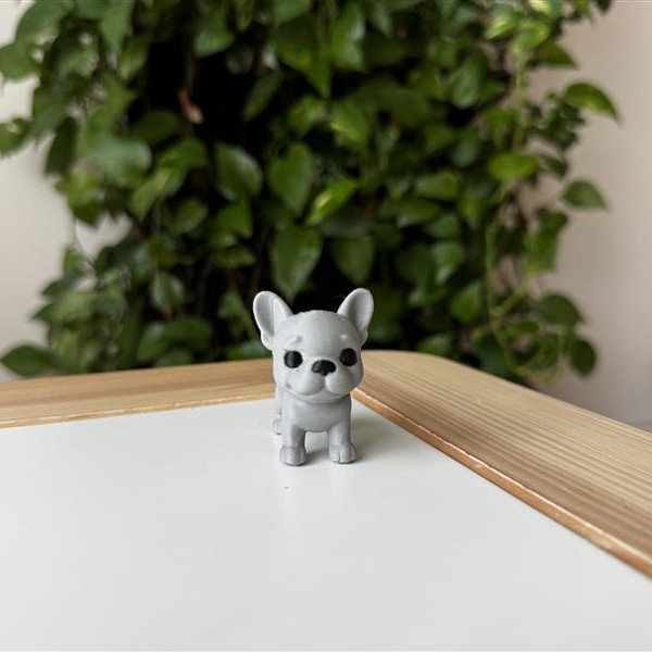 Fransız Bulldog Yavrusu 3D Baskılı Dekoratif Heykelcik Fransız Bulldog Yavrusu 3D Baskılı Dekoratif Heykelcik