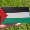 Filistin Bayrağı 3D Baskı Dekoratif Plaket - Özgün Tasarım