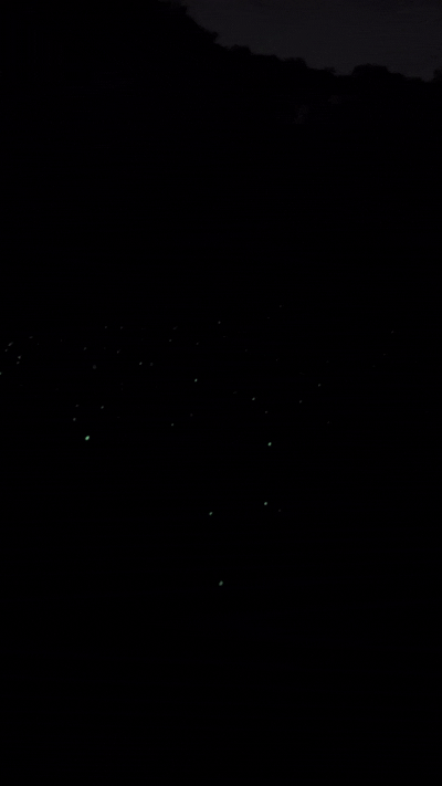 Mini Gelblaster Silah 3D Baskı Oyuncak - Cyber Brick Tasarım