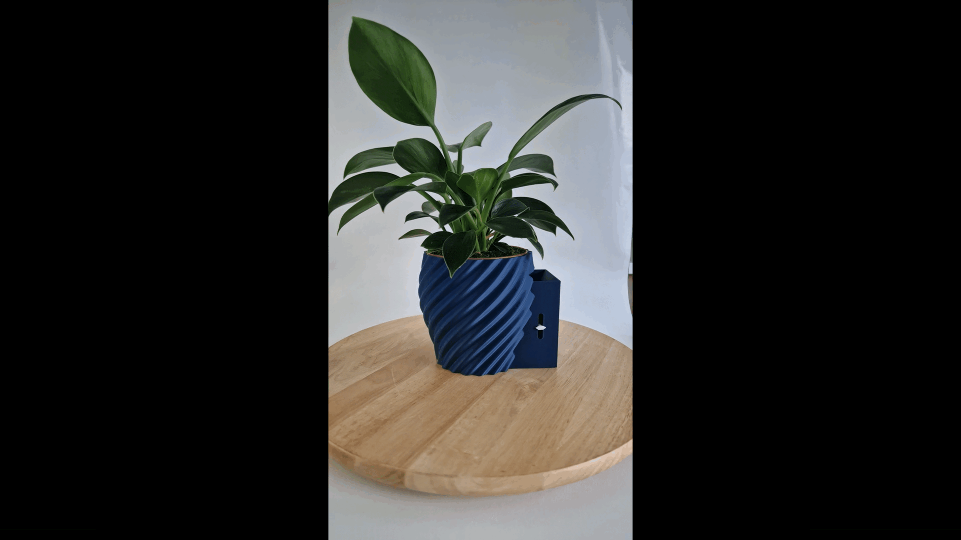 Aqua Level Otomatik Sulama Saksı - Su Seviye Göstergeli